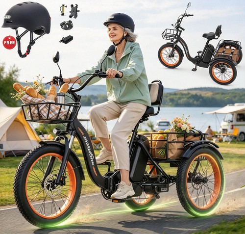Bicicletta elettrica